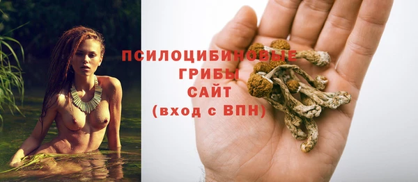 спайс Горно-Алтайск