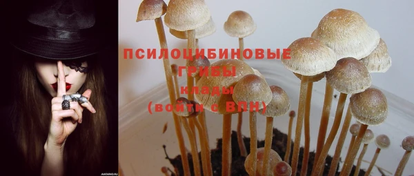 скорость Горнозаводск