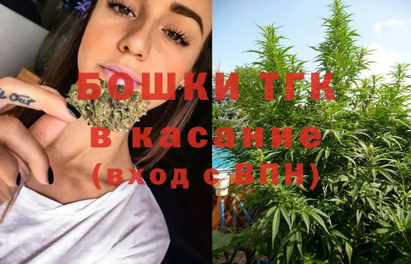 меф Горняк